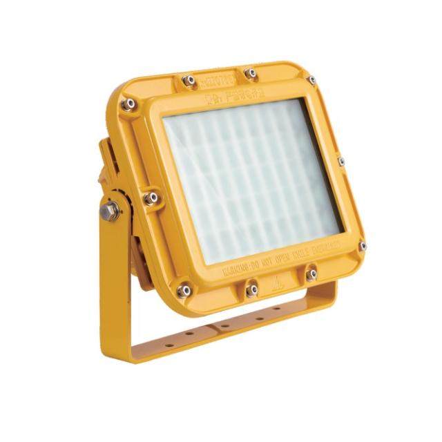 LED floodlight