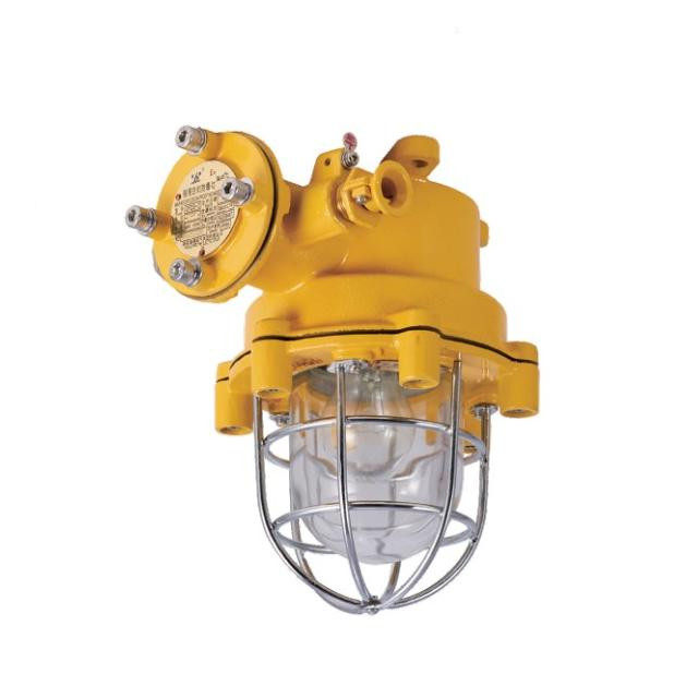 CFD3 Type Explosion Proof lighting