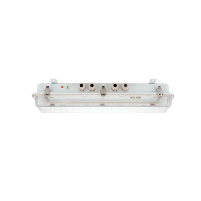 JCY24-2, JCY44-2 Type Marine Fluorescent Pendant Light