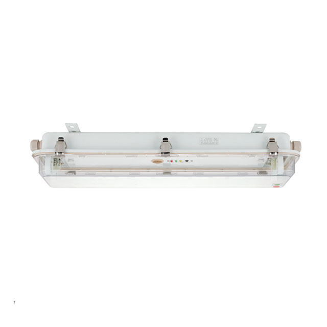 JCY201-2, JCY401-2 Type Fluorescent Pendant Light With Battery