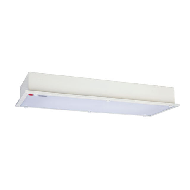 JPY21-2 Type Marine Fluorescent Ceiling Light