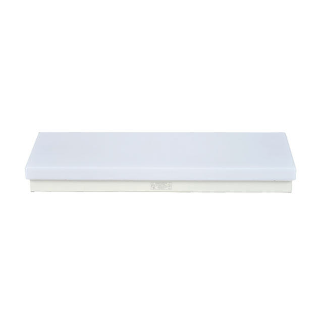 JPY20-2J, JPY40-2J Type Marine Fluorescent Ceiling Light