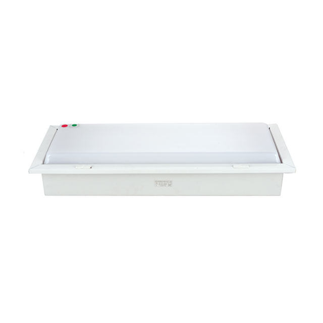 JPY201-2, JPY202-2 Type Marine Fluorescent Ceiling Light With Battery