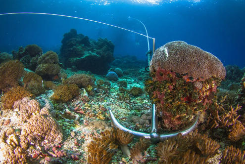 Marine Anchor for Seabed Condition