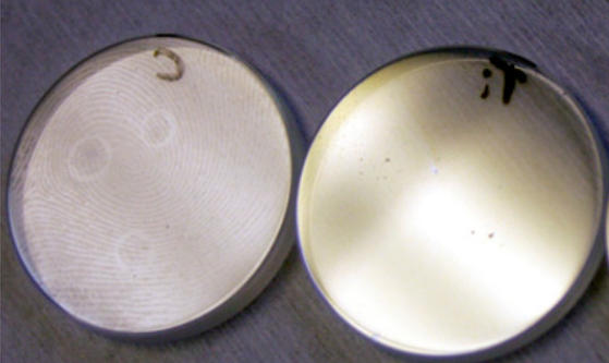 self-cleaning coatings in marine window